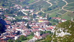 cerdon